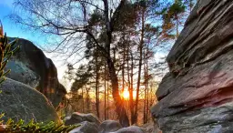 Rezerwat Przyrody Prządki – co warto wiedzieć przed zwiedzaniem i jak uniknąć błędów