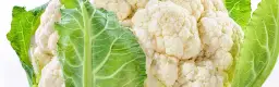 Kalafior dietetycznie - jak wykorzystać go w zdrowym odżywianiu