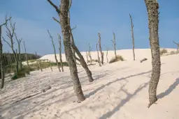 Łeba: Atrakcje, które musisz zobaczyć! Parki, wydmy i więcej