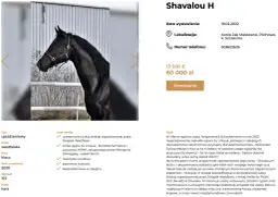 Jak wygląda koń kary? Cechy, które cię zaskoczą i zachwycą