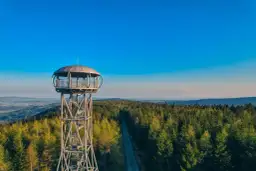 Metalowa jagodna wieża widokowa wznosi się nad gęstym lasem iglastym, oferując zapierającą dech w piersiach panoramę.
