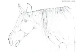 Realistyczny rysunek głowy konia? Odkryj sekrety krok po kroku!