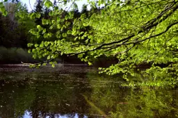 Jezioro Kiełpińskie – odkryj tajemnice dwóch pięknych jezior w Polsce