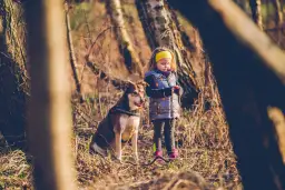 Najlepsze miejsca na spacer z psem w okolicach Warszawy, które musisz znać