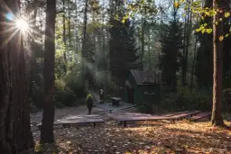 Lubelskie: Rezerwaty przyrody. Przewodnik po 97 cudach natury