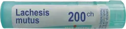 Lachesis homeopatia: jak skutecznie łagodzi objawy hormonalne