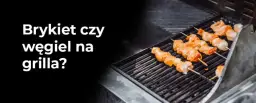 Brykiet do grilla: Dlaczego warto go wybrać zamiast węgla?