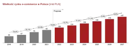 Oto polski e-commerce! Jak błyskawiczny wzrost zmieni handel?