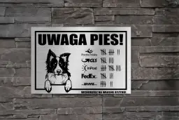 Jak zrobić tabliczkę border collie: skuteczne oznaczenie posesji z psem