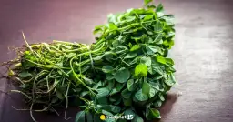 Herbata z kozieradki: Jak zrobić? Przepisy, korzyści i dawkowanie