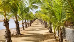 Kiedy jechać na Wyspy Zielonego Przylądka, by uniknąć złej pogody i wysokich cen