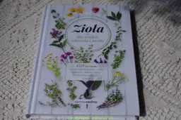 Polskie zioła na herbatę: Od łąki do filiżanki zdrowia i smaku