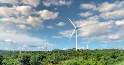 Zalety i wady elektrowni wiatrowych - co warto wiedzieć?