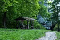 Rezerwaty przyrody w Polsce: Odkryj ich niezwykłe piękno i różnorodność