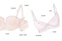 Koniec z bólem! Jak zmierzyć biustonosz i dobrać idealny rozmiar?