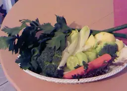 Idealne surówki do królika, które podkreślą jego delikatny smak