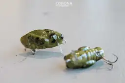 Najlepsze przynęty na białoryb: naturalne, sztuczne, przepisy DIY