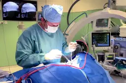 Co robi lekarz? Poznaj kluczowe obowiązki i zadania w medycynie