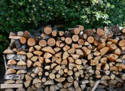 Czy olcha nadaje się do kominka? Zalety i wady tego drewna opałowego