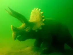 Zanęta na jesiotra: Przepisy i taktyki na "podwodnego dinozaura"