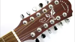  Gitara 12 strunowa - poradnik dla początkujących i zaawansowanych