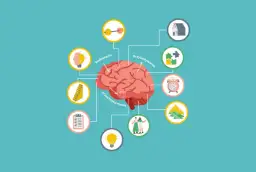 Procesy edukacyjne: Jak uczyć się i nauczać skuteczniej?