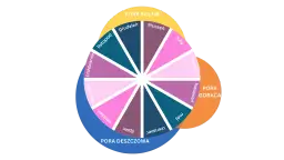 Kiedy najlepiej jechać do Tajlandii, aby uniknąć deszczu i tłumów?