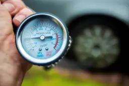 Bar a pies: Jak znaleźć idealne miejsce? Kompletny przewodnik