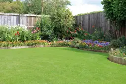 Co na ogrodzenie zamiast tui - najlepsze rośliny do Twojego ogrodu