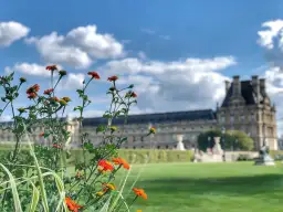 Kwiaty na pierwszym planie, w tle pałac Luwr, symbol 1 dzielnicy Paryża.