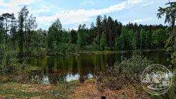 Jezioro Czarne koło Płotów: Odkryj raj w Zachodniopomorskiem!