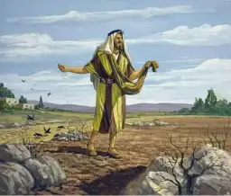 Przypowieść o zasiewie: odkryj jej głębokie znaczenie i przesłanie