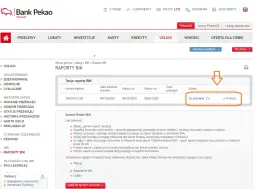 Zrzut ekranu z bankowości internetowej Pekao24, pokazujący raport BIK gotowy do pobrania.