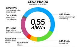 Jaka cena za KWH: jak obliczyć koszt jednej jednostki energii w Enerdze