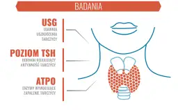 Czy choroba Hashimoto kwalifikuje do renty? Sprawdź kryteria i proces
