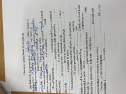 Staś Tarkowski: Od chłopca do bohatera analiza dla ucznia