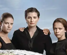 Ile odcinków ma serial Dzikie Pszczoły? Sprawdź liczbę i dostępne sezony!