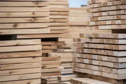 Jakie drewno na konstrukcje szkieletowe? Odkryj najlepsze gatunki!