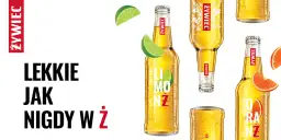 Grupa Żywiec jakie piwa: poznaj różnorodność smaków i nowości