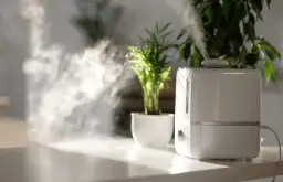 Jaką wodę wlać do nawilżacza powietrza, aby uniknąć problemów?