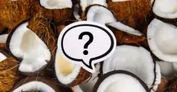 Czy pies może jeść wiórki kokosowe? Sprawdź, co musisz wiedzieć