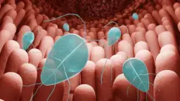 Jakie leki na lamblie u dzieci? Skuteczne metody leczenia i dawkowanie