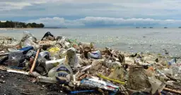 Dlaczego Morze Bałtyckie jest zanieczyszczone i jakie są tego skutki?