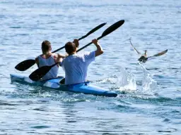 Wioślarstwo czy kajakarstwo? Różnice, mięśnie, koszty wybierz!