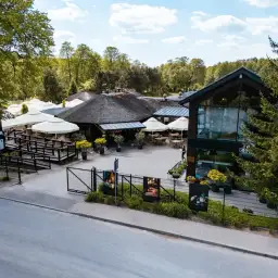 Krasnobród: Gdzie zjeść najlepszego pstrąga i smaki Roztocza?