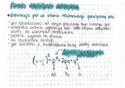 Prawo Hardy'ego-Weinberga: populacja w stanie równowagi genetycznej. Wzór (p+q)²=p²+2pq+q² opisuje częstość genotypów.