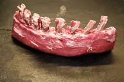 Surowy comber jagnięcy z widocznymi żeberkami na ciemnym tle.