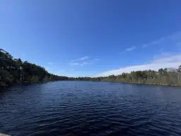 Jezioro Dołgie Wielkie - odkryj jego tajemnice i atrakcje przyrodnicze