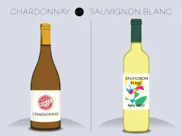Ilustracja porównuje butelki Chardonnay i Sauvignon Blanc, podkreślając różnicę między szczepem Chardonnay a Sauvignon Blanc w aromacie.