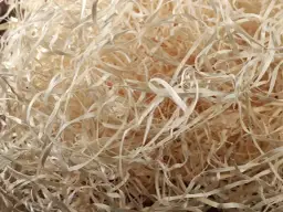 Wełna drzewna: Gdzie kupić? Sprawdź oferty online i stacjonarnie